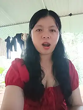 lisa-bae00 live