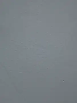 DAKOTA_SAKURA live