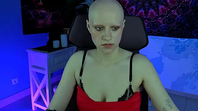 LidaDarknet live