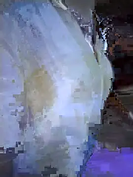 Sea-ice live