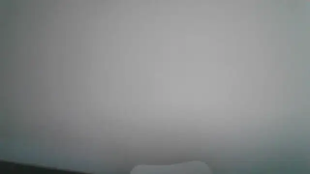 Elayne_Sweet live