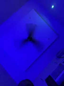 Leeving_kiara live