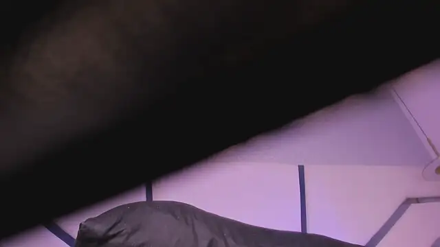 megann_myers live