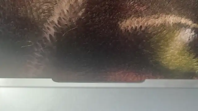 Soaponarope007 live