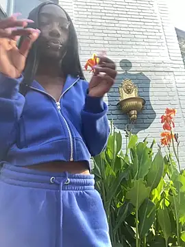 Loopsies live