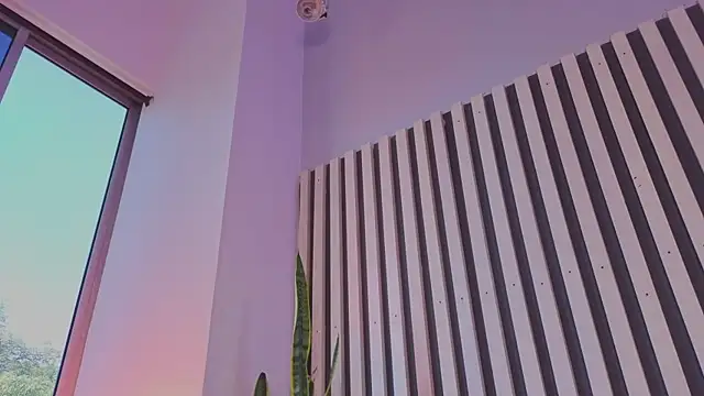 Ariana_klarts live