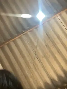 Bigostosa live