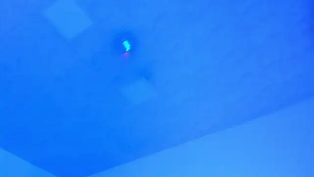 Brianna_bigboobs live