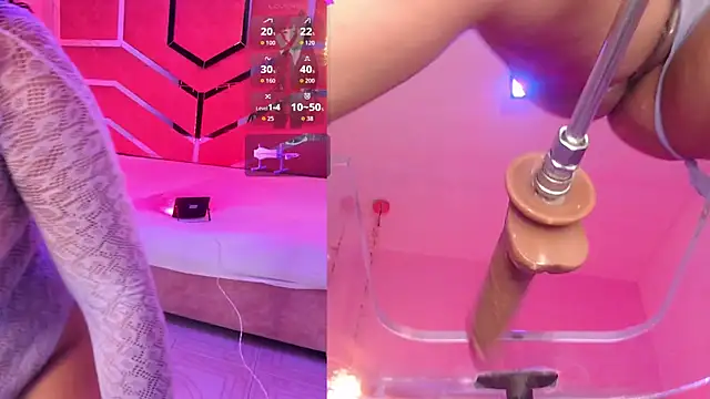 SugarandNibbles live