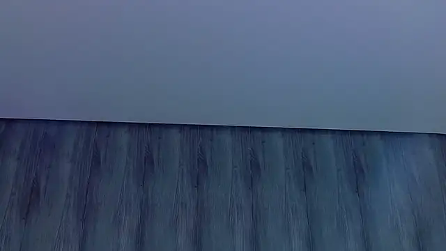 JiaLiss live