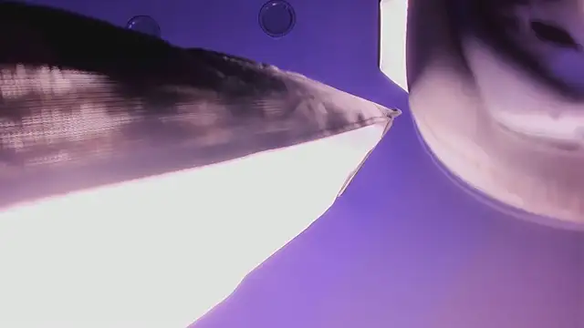 megann_myers live