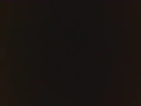 creampiesazch69 live