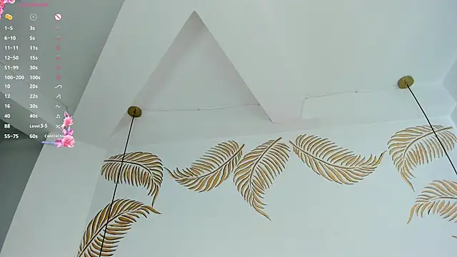 Valleriie_ live