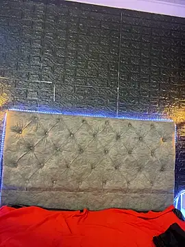 Paloma__LS live