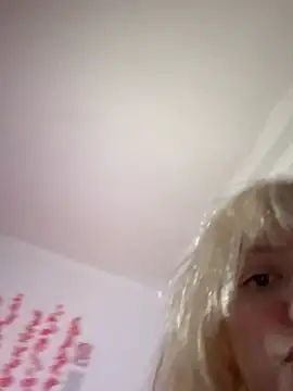KimiSakura live