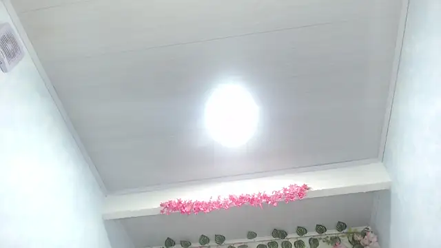 anyela_donecm live