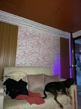 Soy_Daniela live