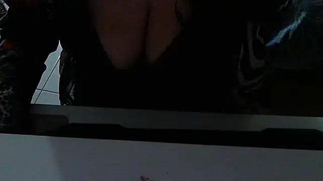stellin live