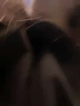 Megan_koch live