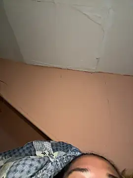 BunnyYT live