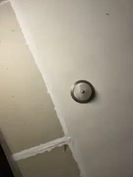 Quinn_damilf live