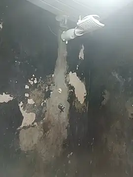martinhapimenta live
