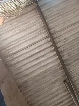 RAJNI_CUTY69 live
