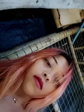 AsianKelly69 live