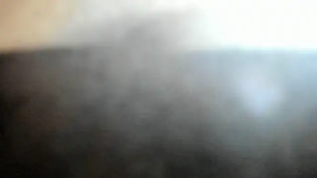 camila_wood live
