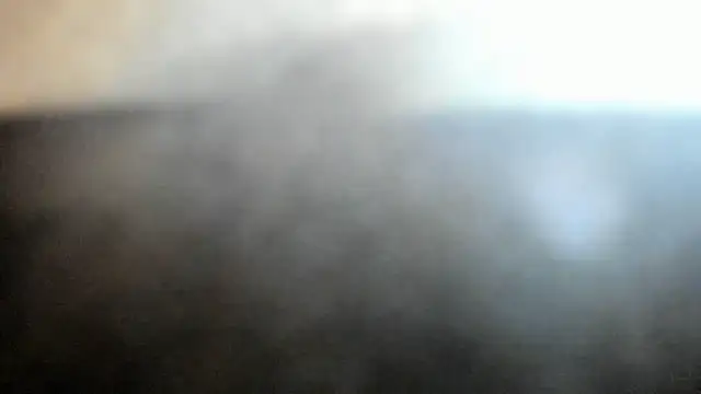 camila_wood live