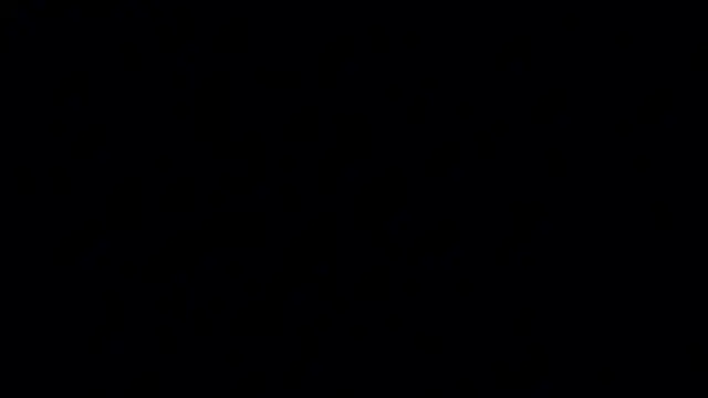 LonnieBamba live