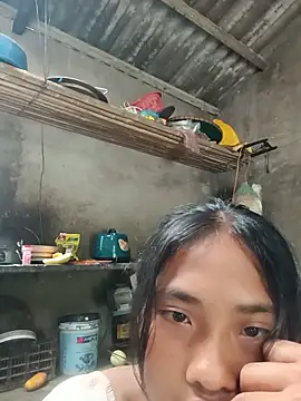 Hoa-tuylip live