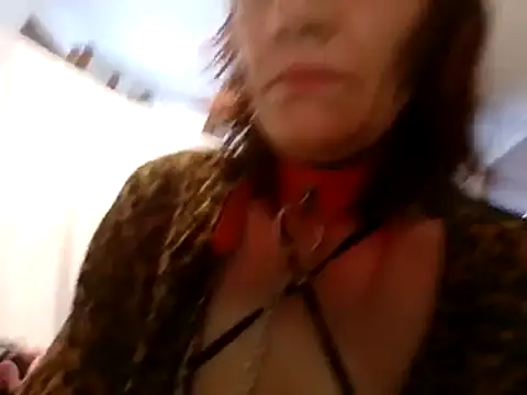 WarningDreams live