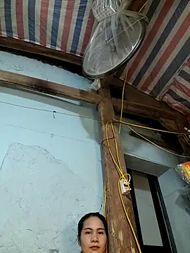 Nice_16 live