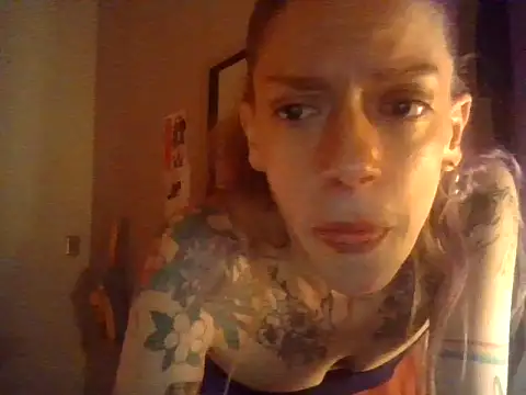 plsmecha live