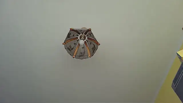 Butterfly_PL live