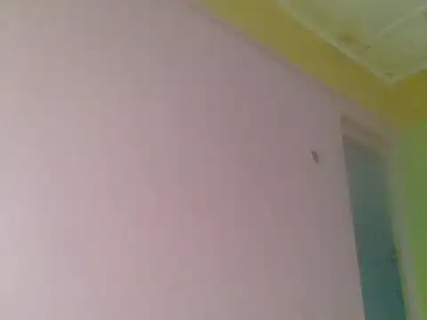 cute_bee live
