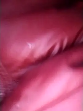 tatianabelli live