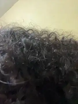 Casal-foda_braba live