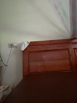 Aria_Maya live