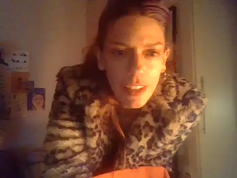 plsmecha live