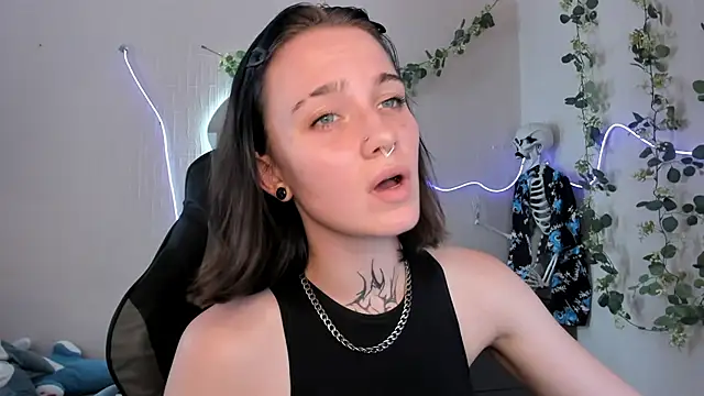 Elastikisss live
