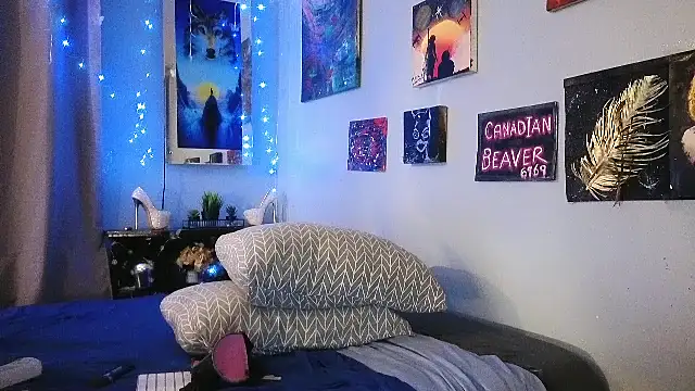 CanadianBeaver6969 live