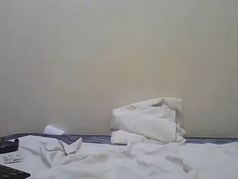 Swt_pie live