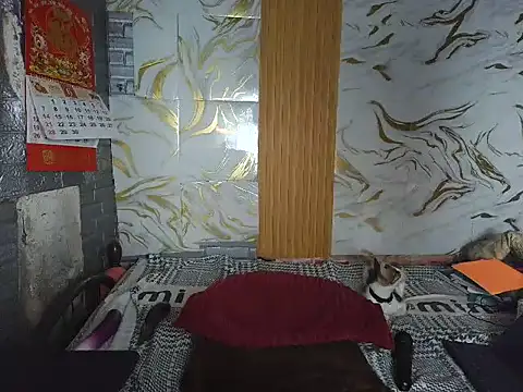 tikini_oishi live