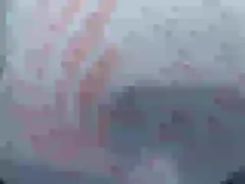 cocolicky live