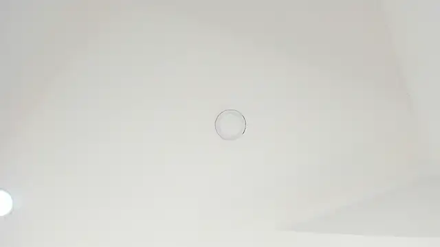 sofia__thompson live