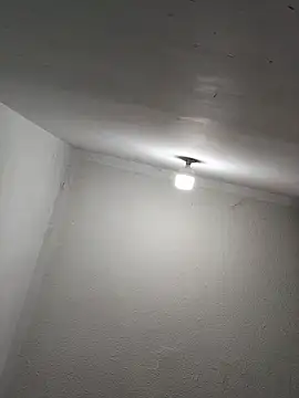 lunaywolfgray live