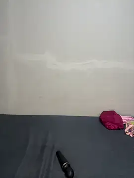 petite_bee live