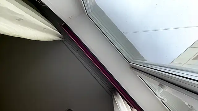 LeoSchor live